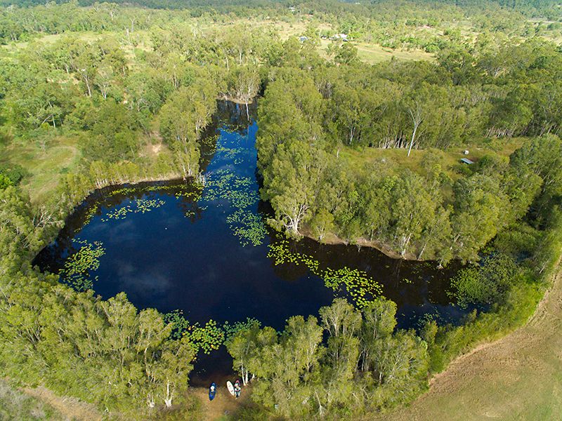 183 Coorooman Creek Road, Cawarral, QLD 4702