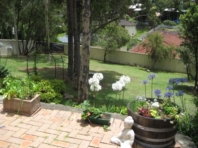 16 Shamrock Close, Woodrising, NSW 2284