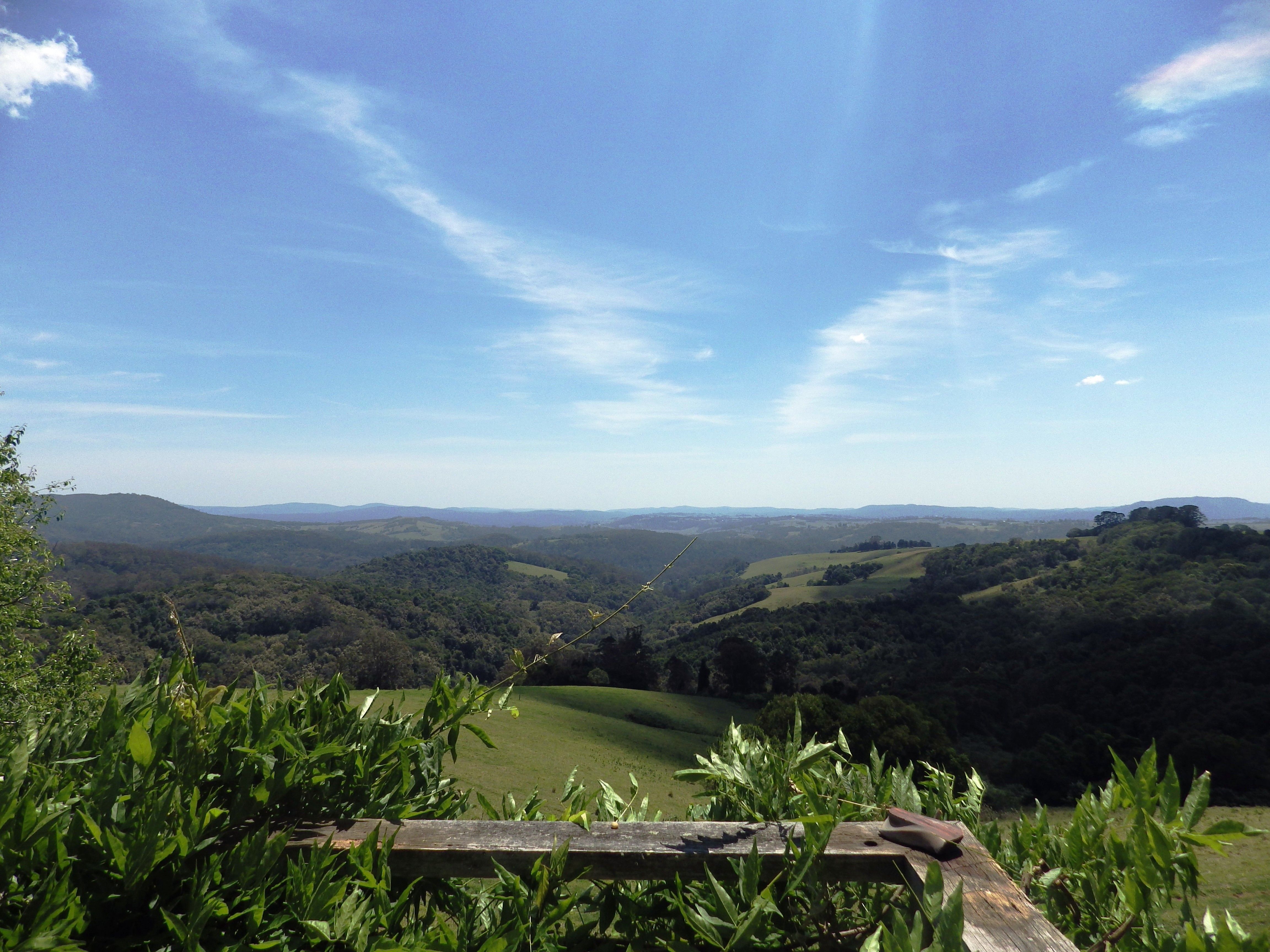 26 Johnsens Road, Dorrigo, NSW 2453