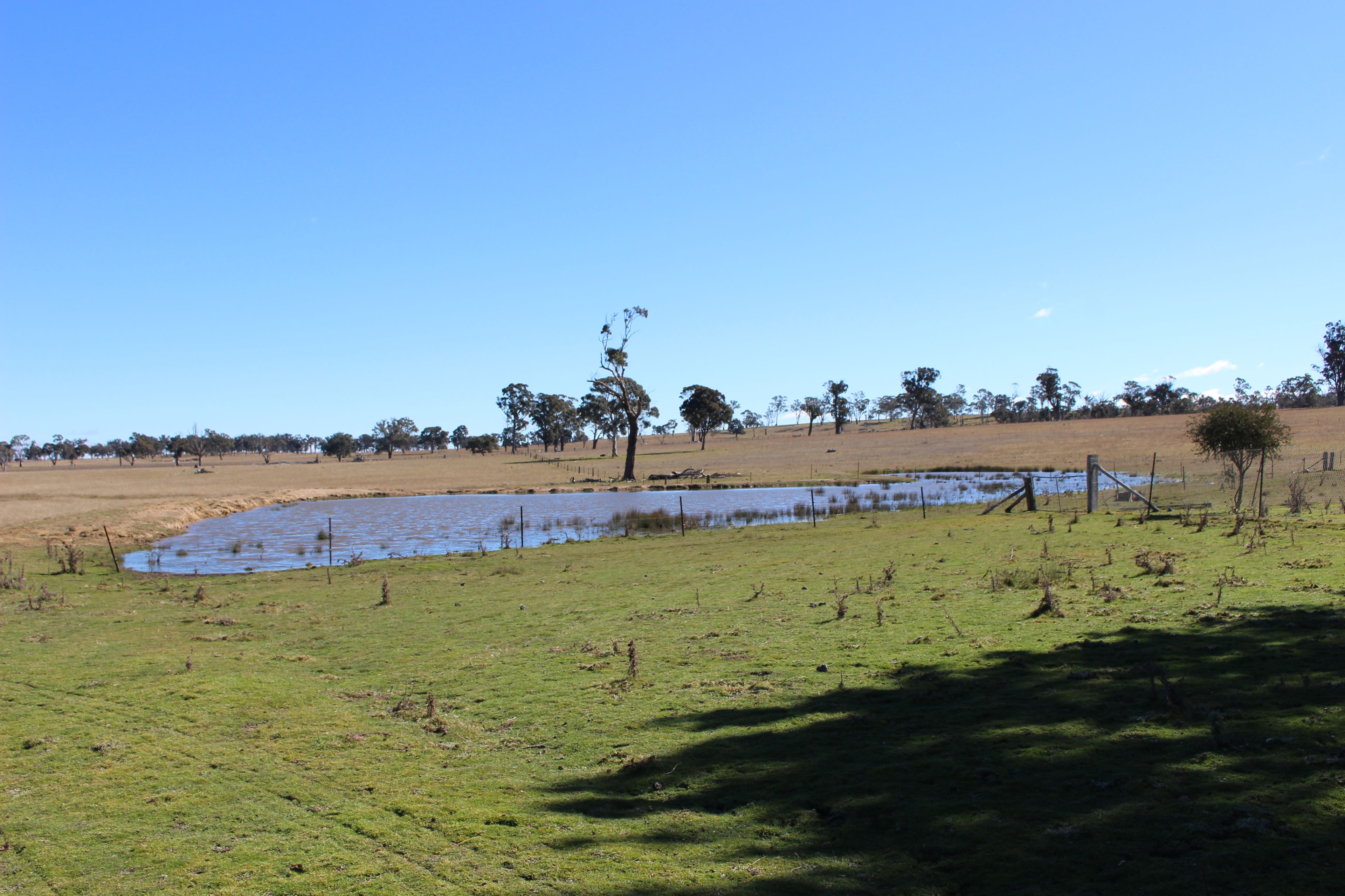 Kenilworth 173 Lochaven Road, Armidale, NSW 2350