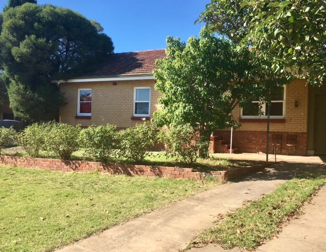 16 Thornton Street, Elizabeth East, SA 5112