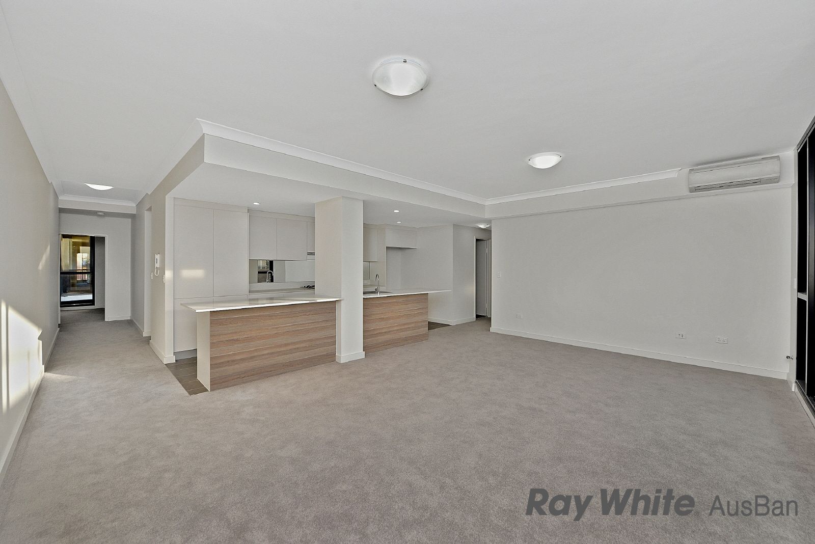 195 LAKEMBA Street, Lakemba NSW 2195