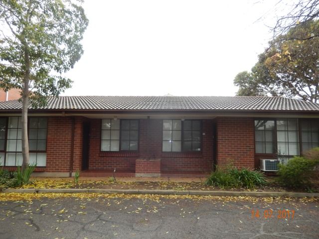 11/44 Glynburn Road, Hectorville, SA 5073