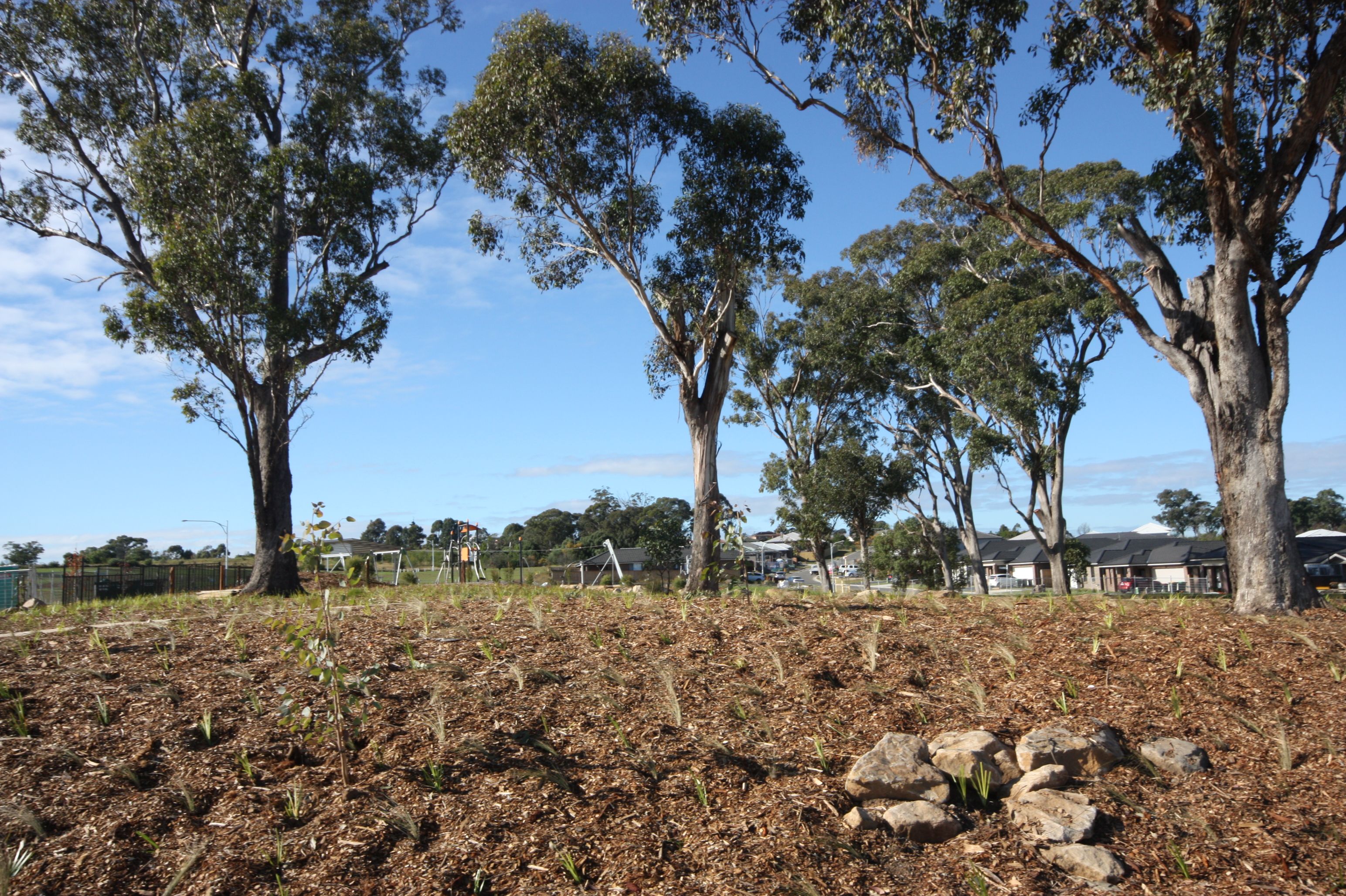 Lot 421 Kingsman Avenue, Elderslie, NSW 2570