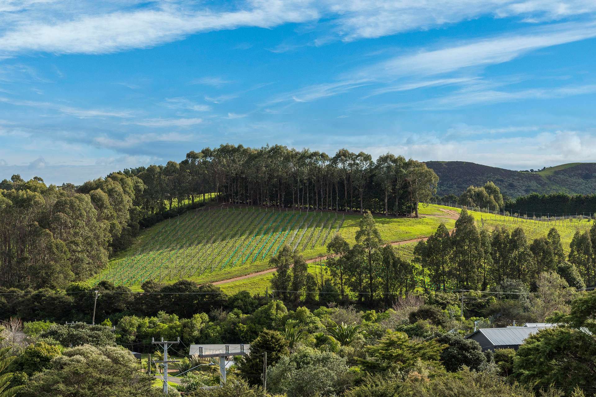 18 Waiata Road photo 9