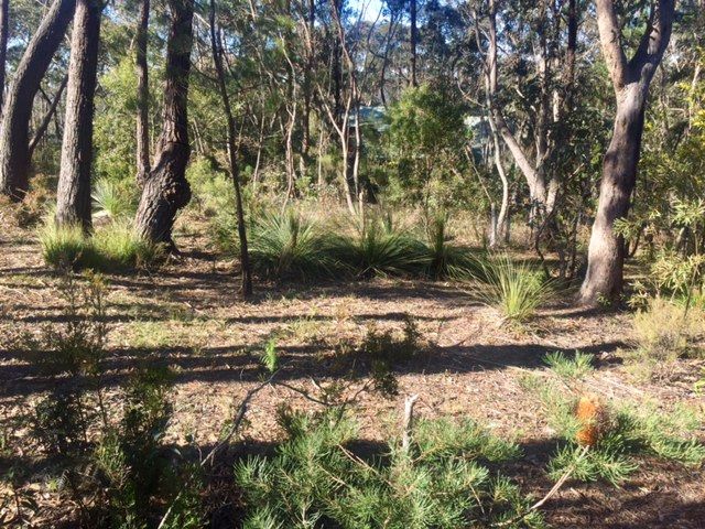 253 Govetts Leap Road, Blackheath, NSW 2785