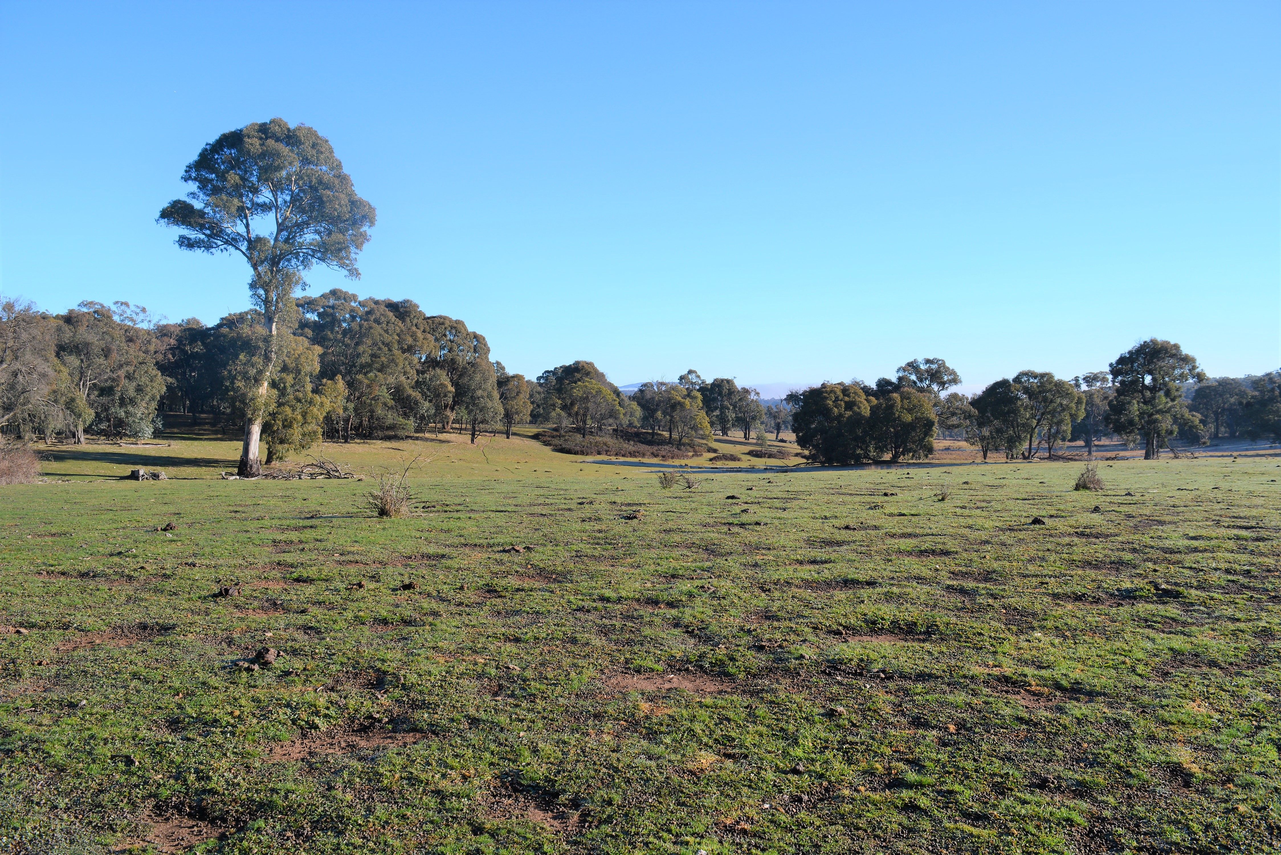 Lot 217 Redground Road, Crookwell, NSW 2583