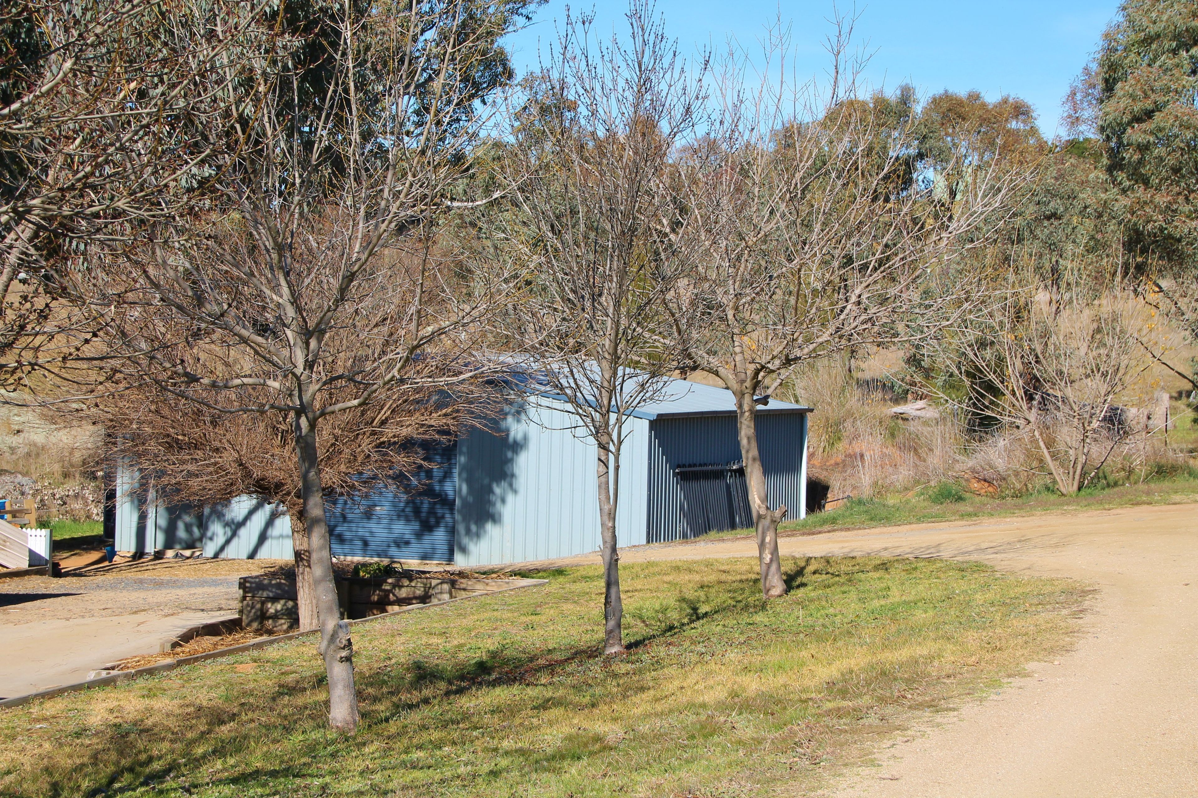 88 Burrows Road, Young, NSW 2594