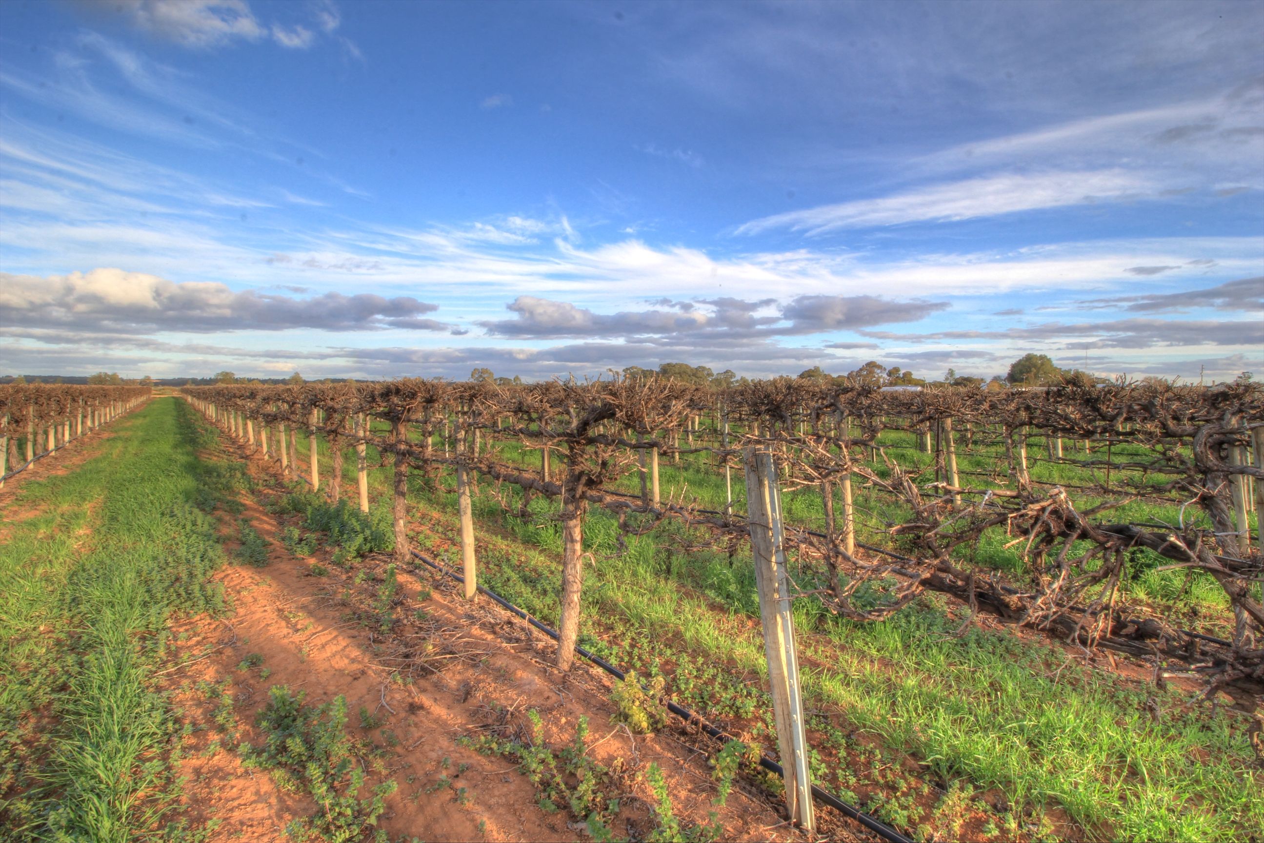 181 Lower Winkie Road, Glossop, SA 5344