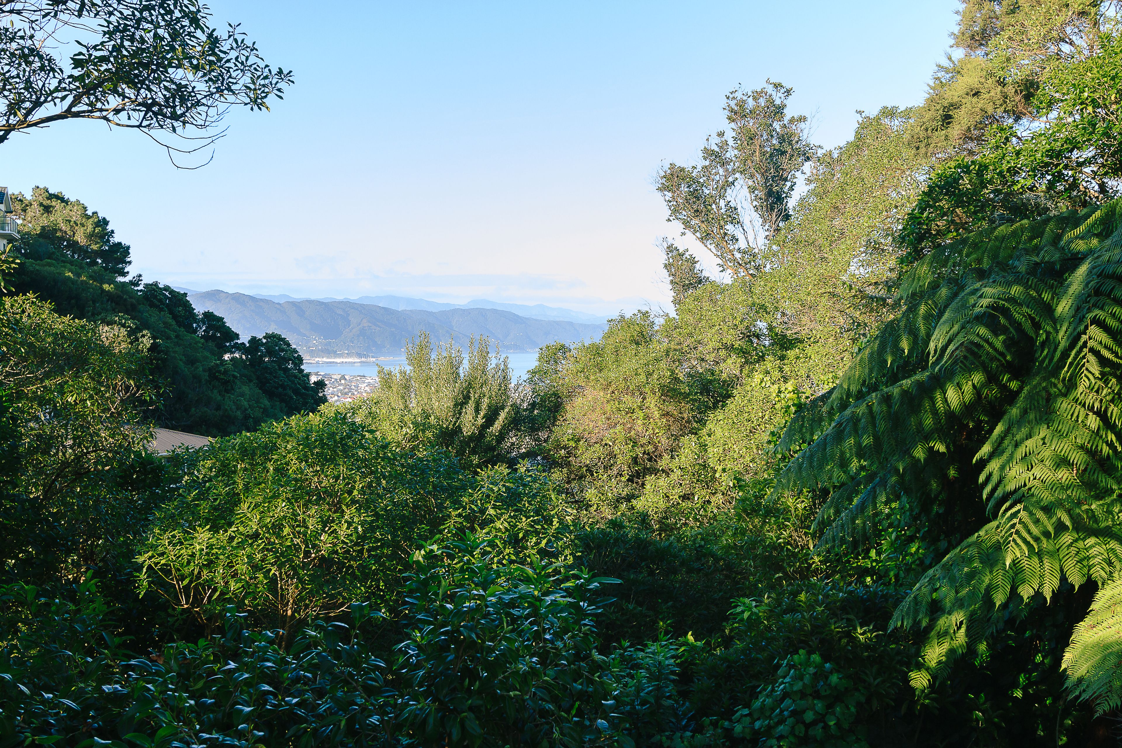 81 Dowse Drive, Maungaraki, Lower Hutt City