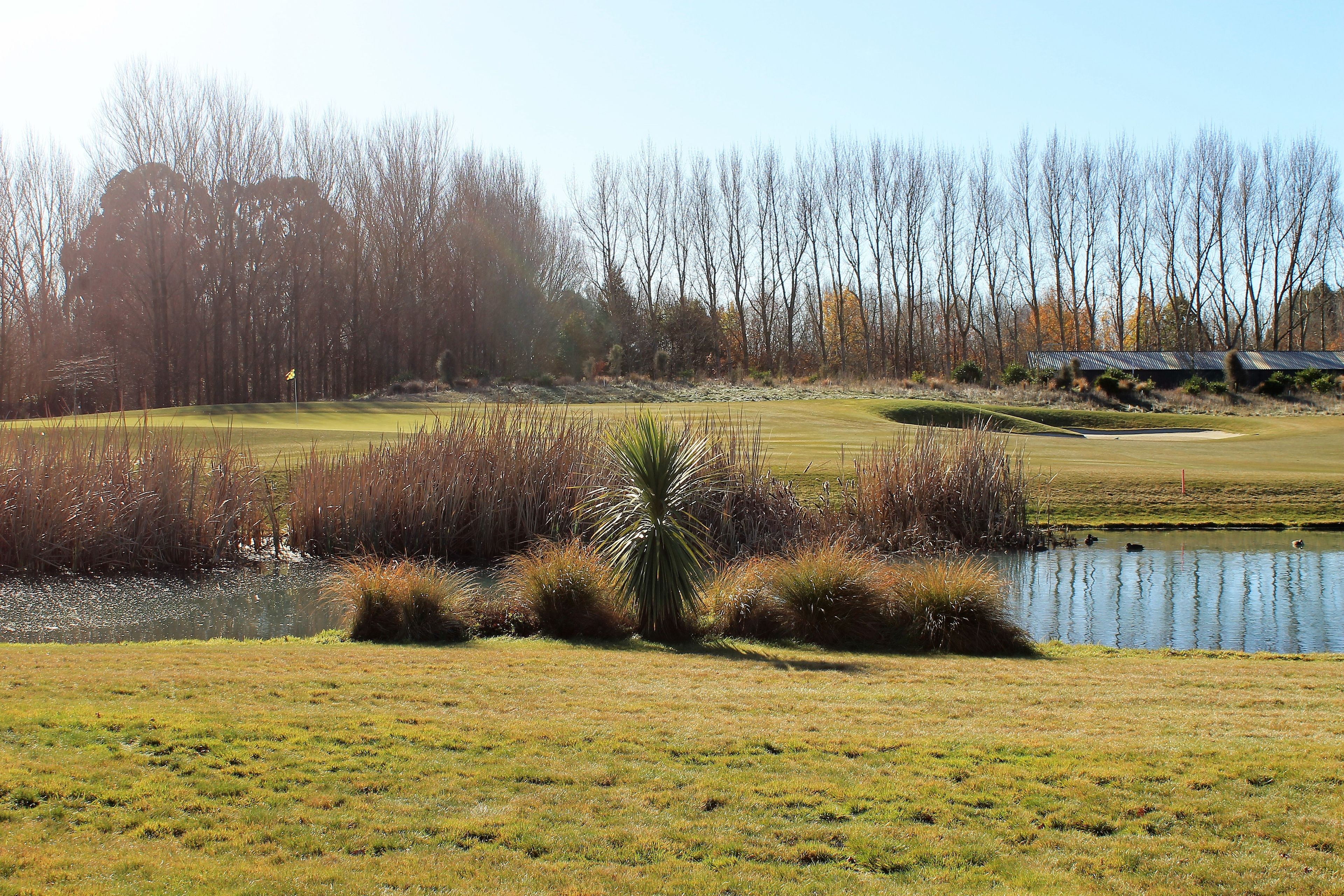 3 Taerutu Lane, Pegasus, Waimakariri District