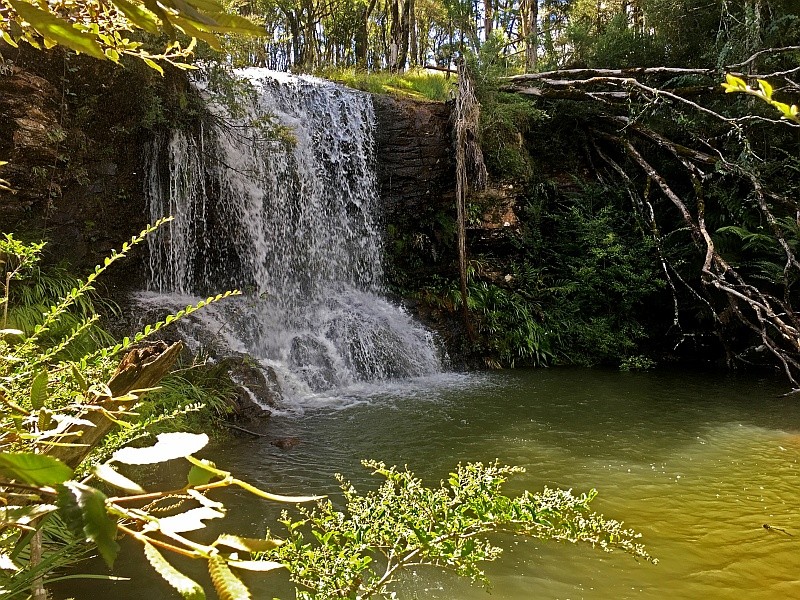 5443 Waterfall Way, Dorrigo, NSW 2453