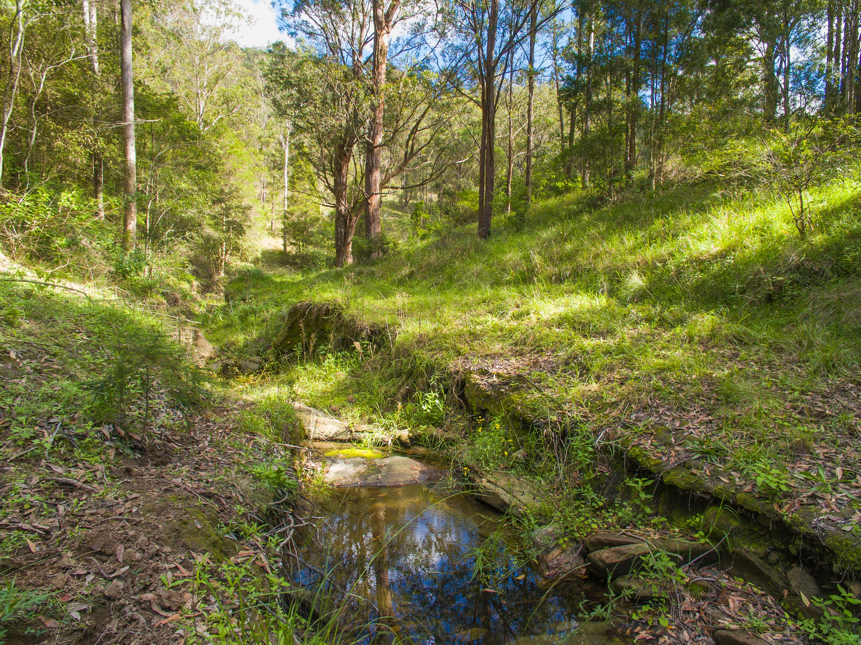 Rural 127 Quartpot Creek Road, Dungog, NSW
