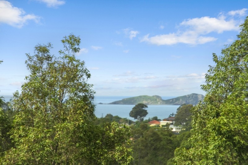 117 Vista Avenue, Catalina, NSW 2536
