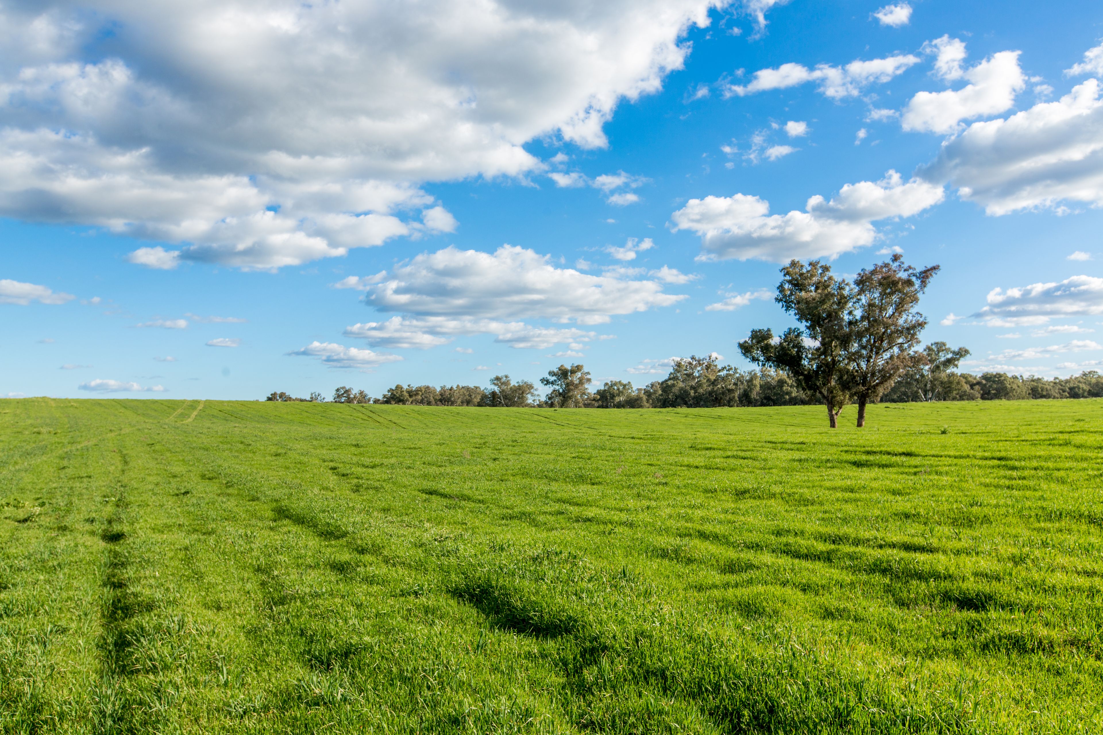678 Old Narrandera Road, Narrandera, NSW 2700