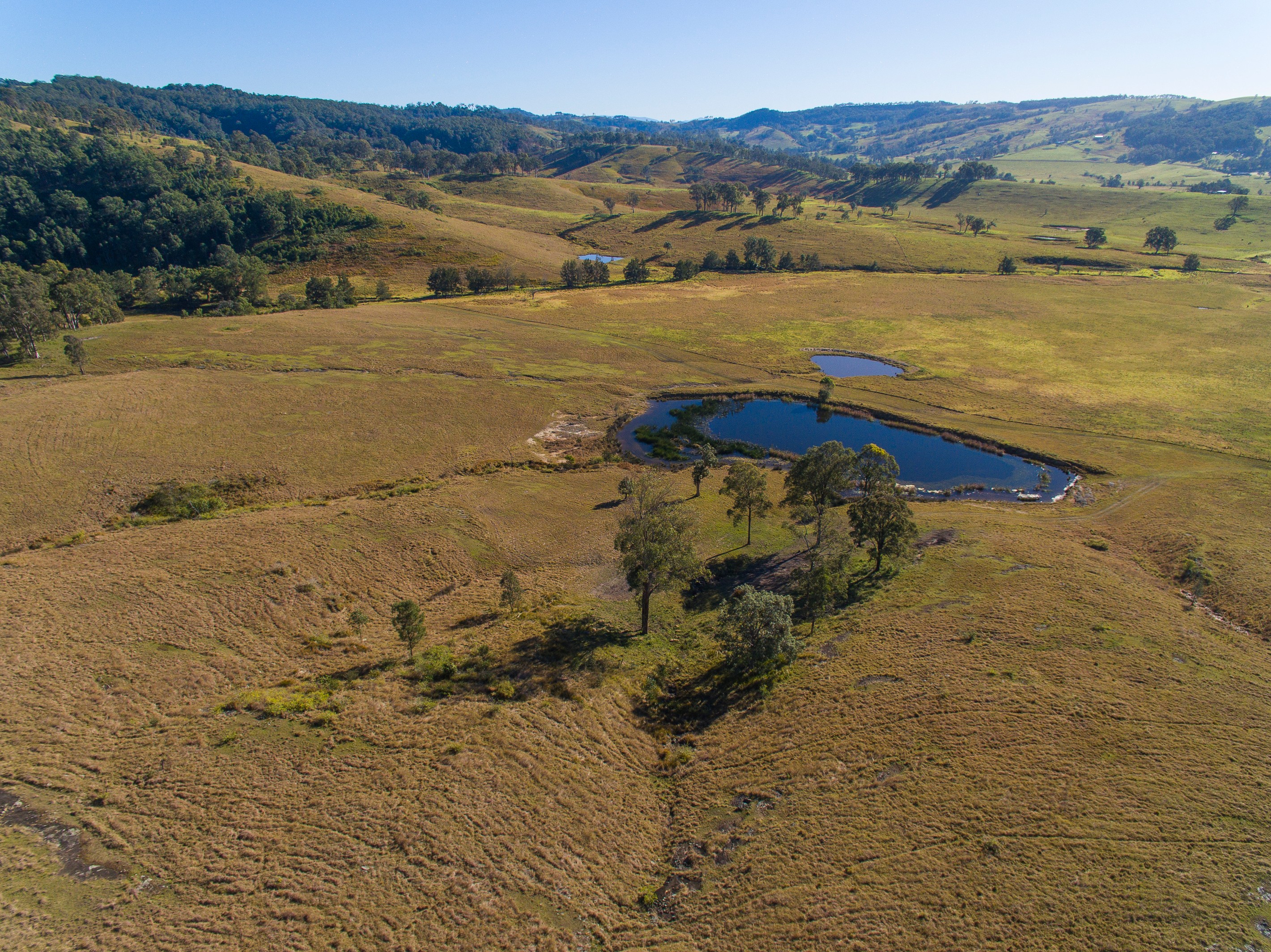 1401 Dungog Road, Wallarobba, NSW 2420
