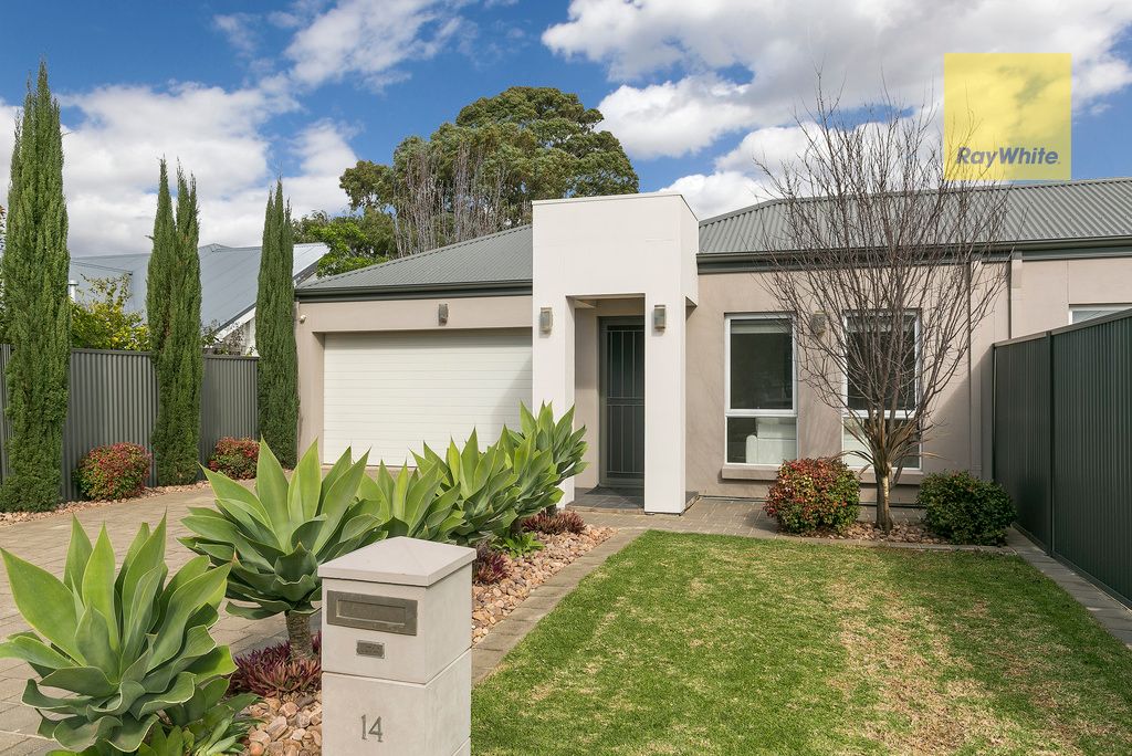 14 Stanley Street, Glengowrie, SA 5044