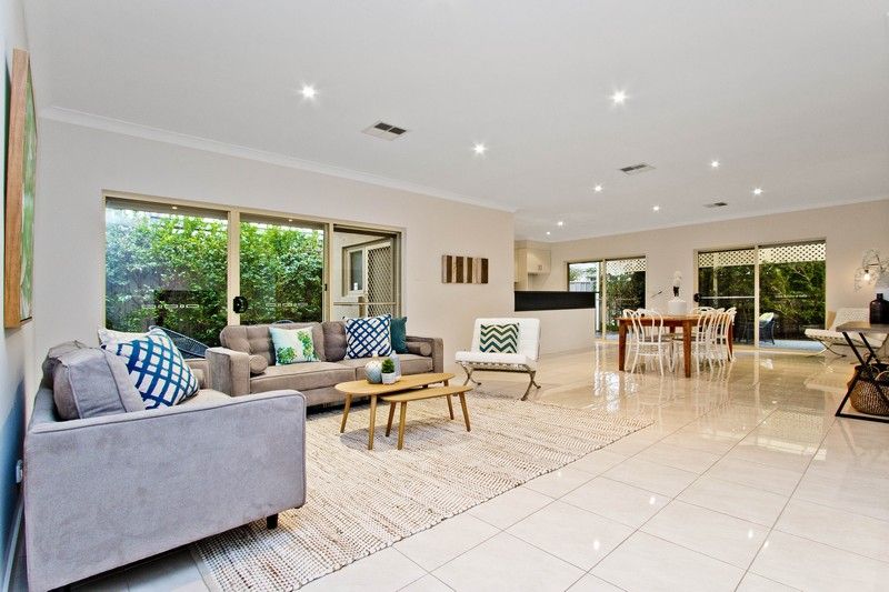 16 Douglas Street, Lockleys, SA 5032
