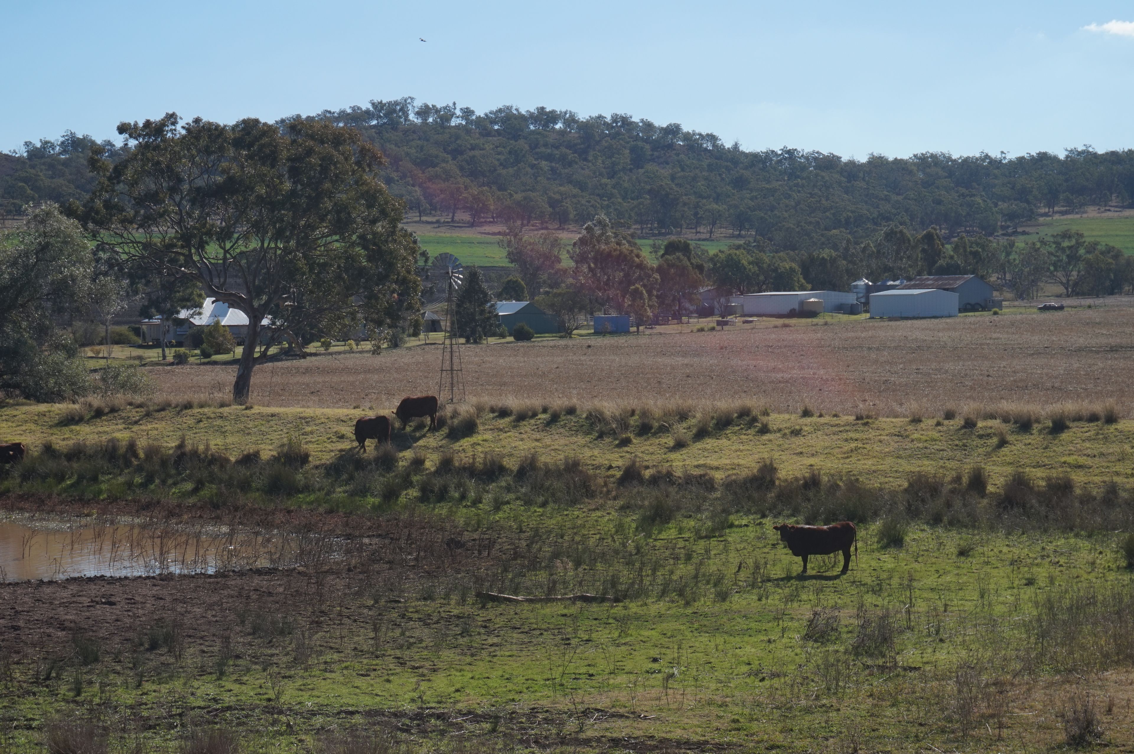 'Torwoodlea' 1023 Greenmount-Hirstvale Road, HIRSTGLEN, QLD 4359