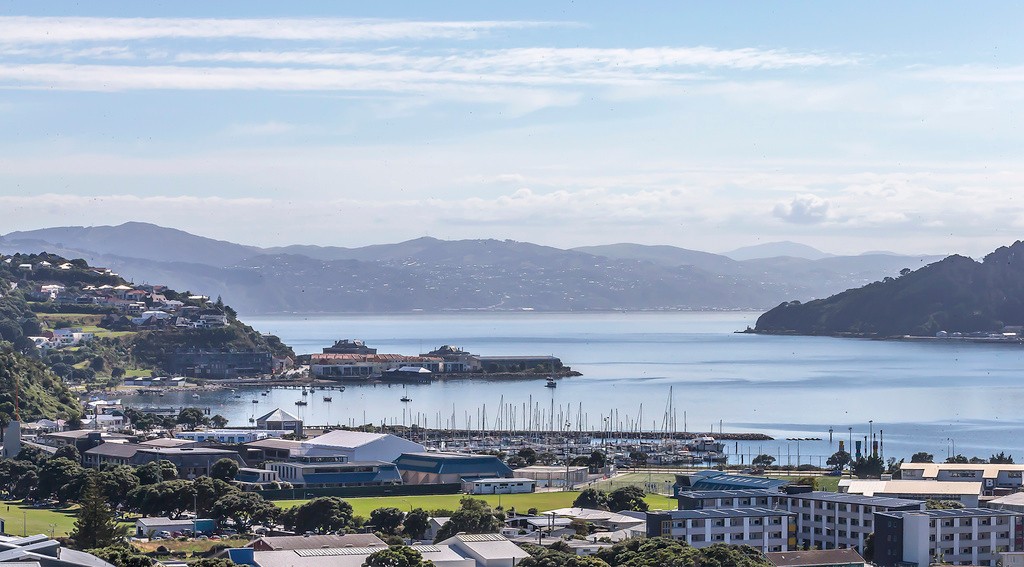54 Rodrigo Road, Kilbirnie, Wellington City