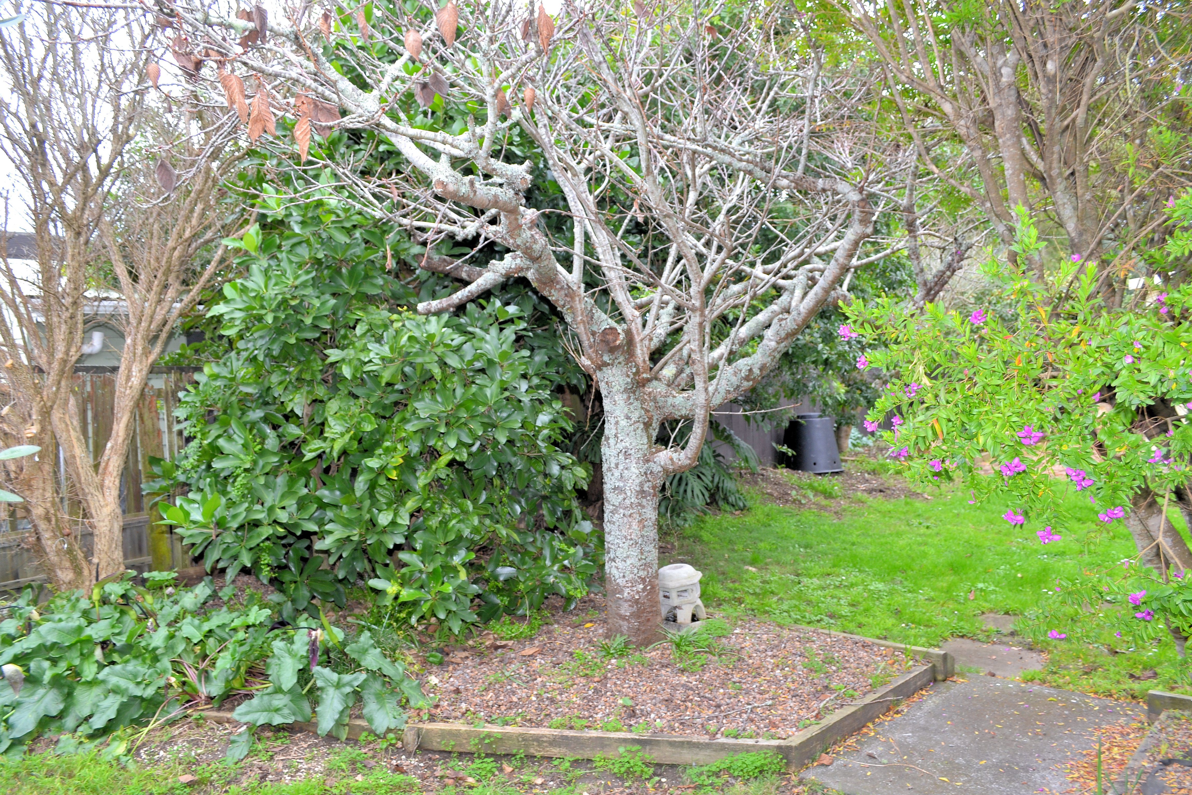 37b Vivian Wilson, Bucklands Beach, Manukau City