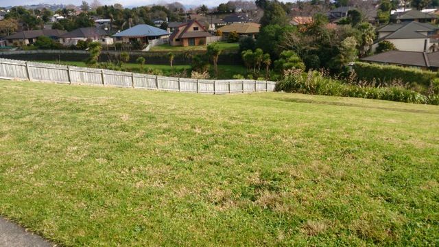 109 Castlewold Drive, Bethlehem, Tauranga City