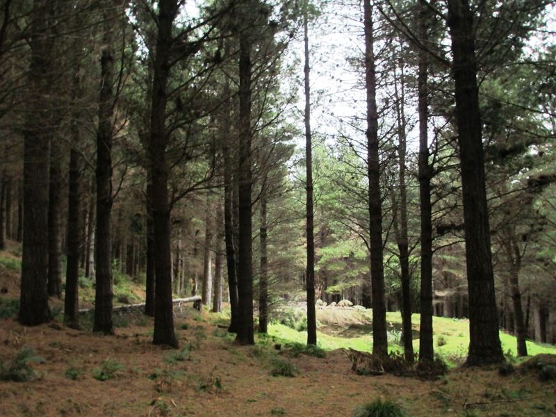 lot 27 Coopers Road, Bideford, Masterton District