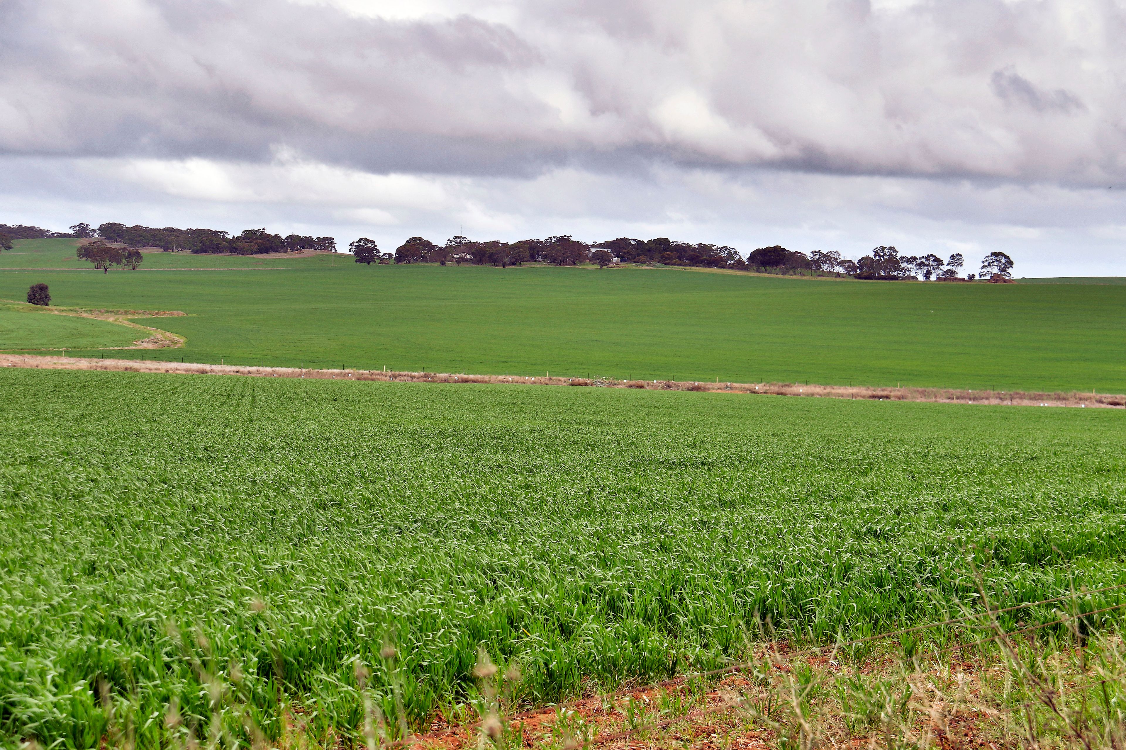 Barrier Highway, Manoora, SA 5414