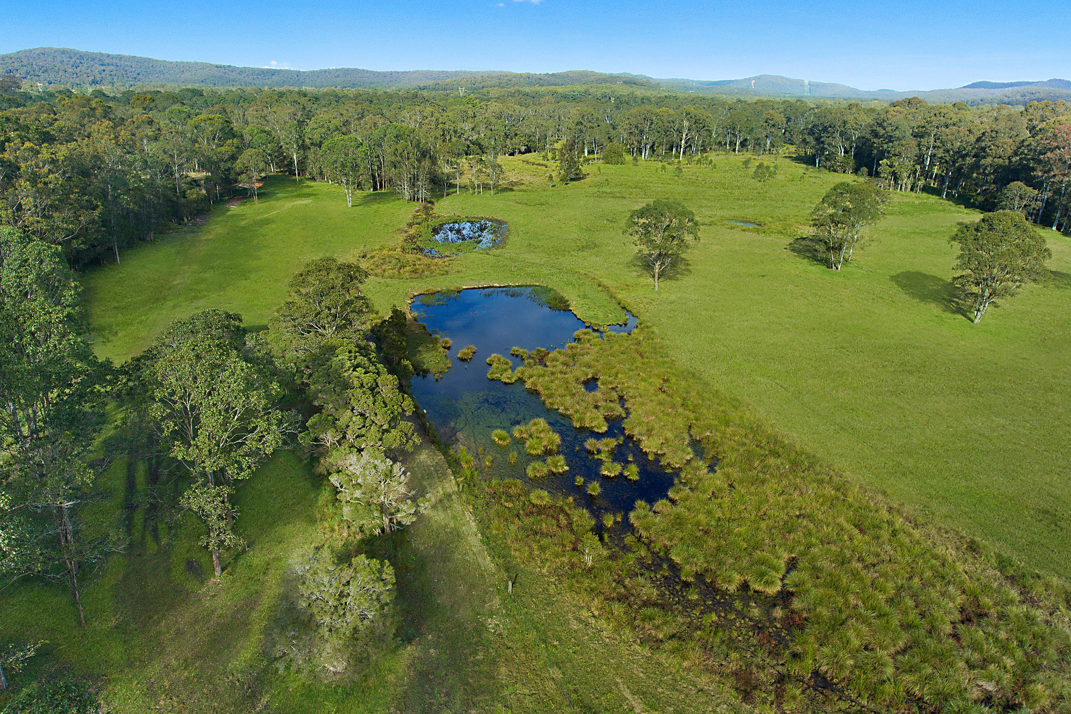 35 Sauls Road, Mandalong, NSW 2264