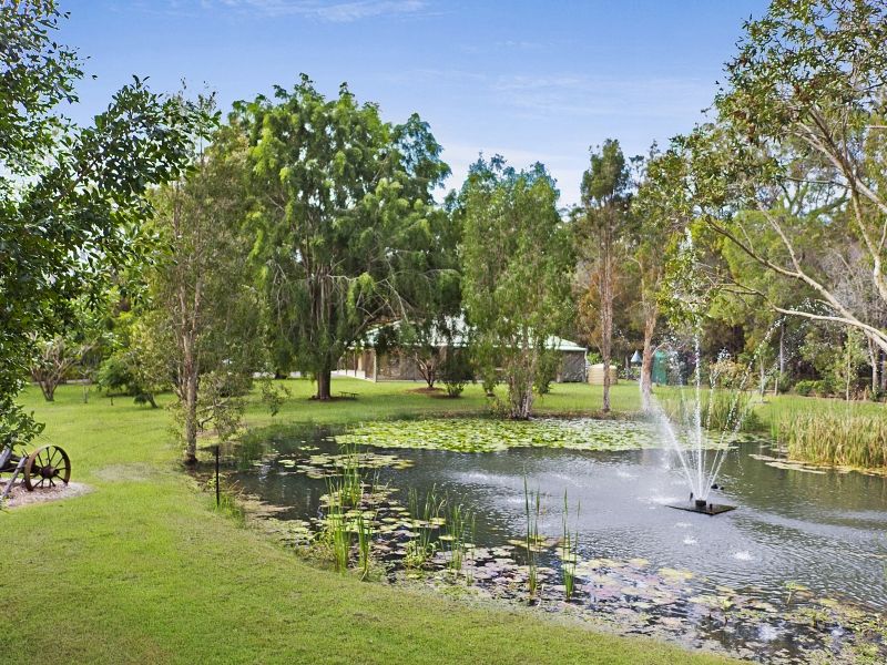 131 Warriewood Street, Chandler, QLD 4155