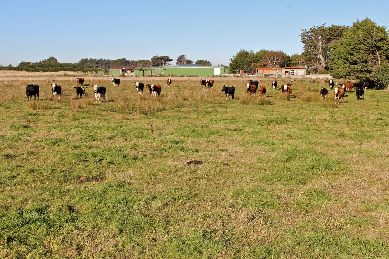 2 Hardwick Road, Otatara, Invercargill