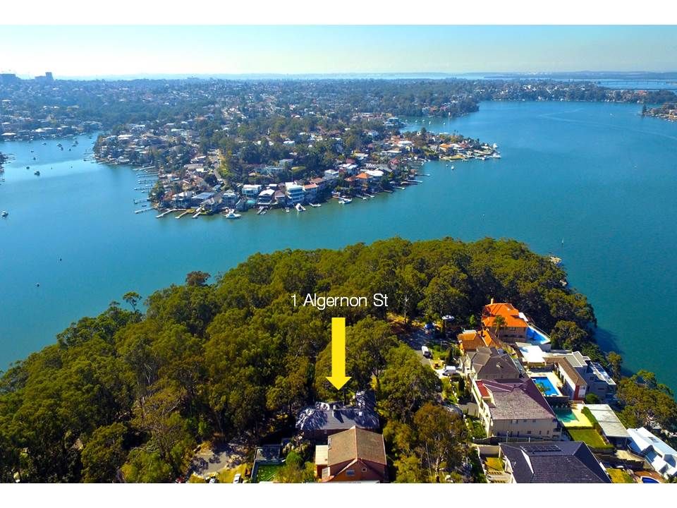 1 Algernon Street, Oatley, NSW 2223