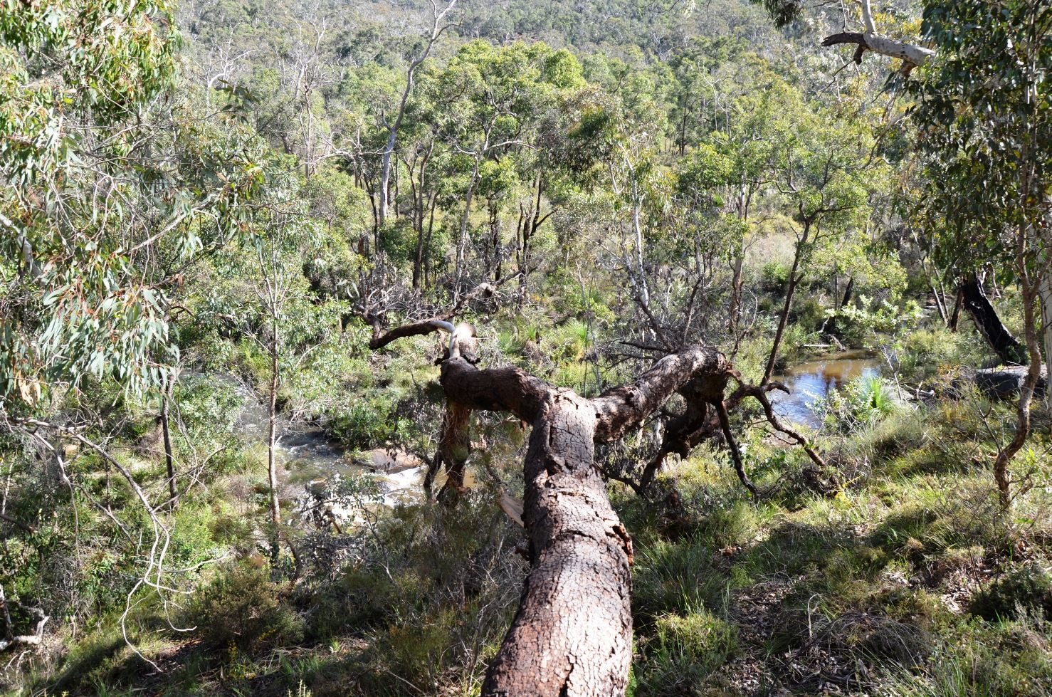 Lot 70/315 Reen Road, Gidgegannup, WA 6083