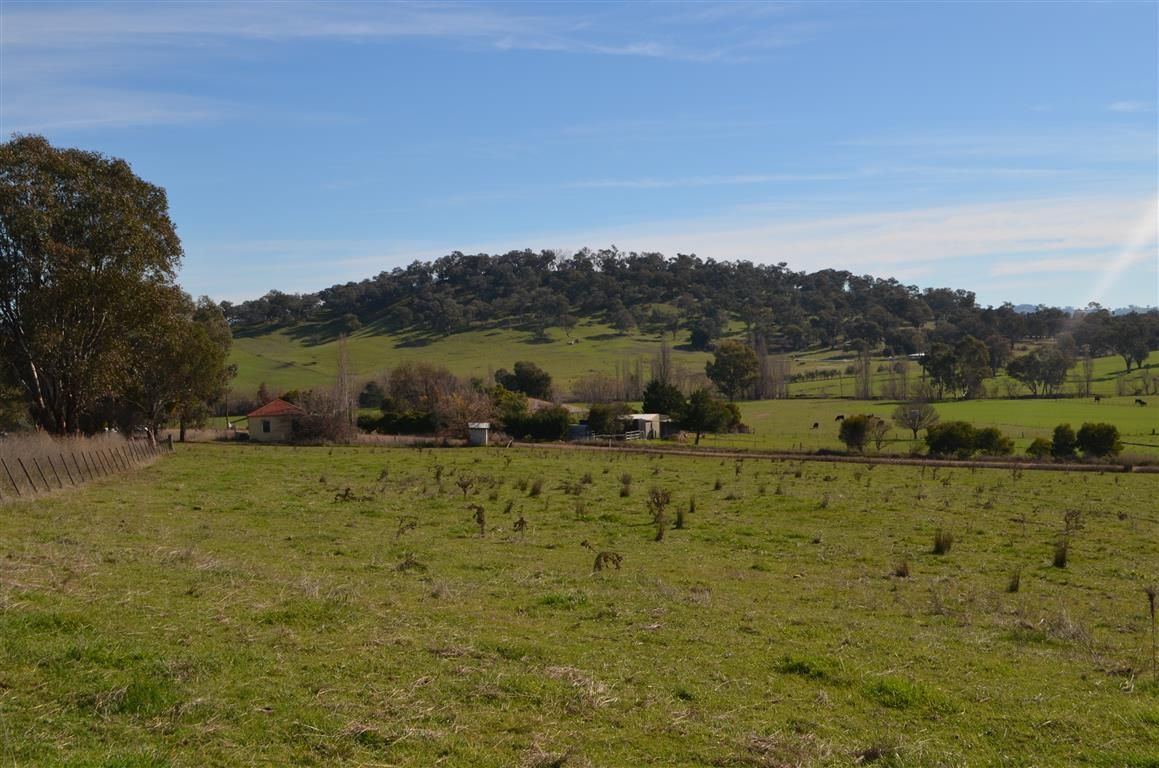 Lot 21 Twomeys Lane ( Lot 1 Withers Lane), TUMUT, NSW 2720