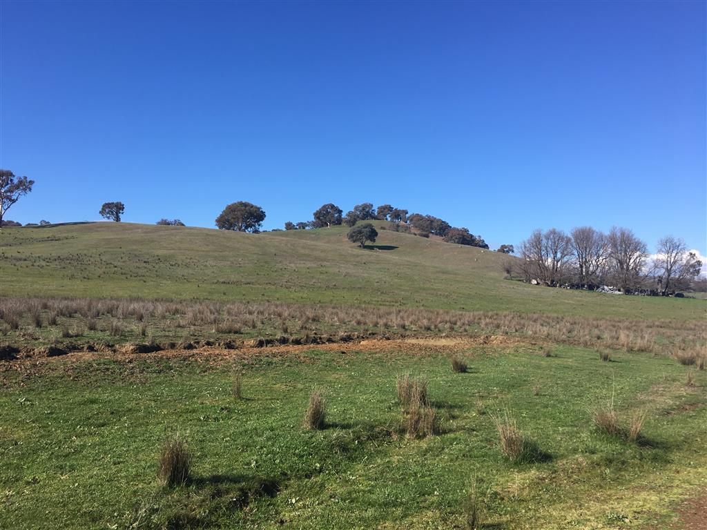 Lot 98 Withers Lane, Tumut, NSW 2720