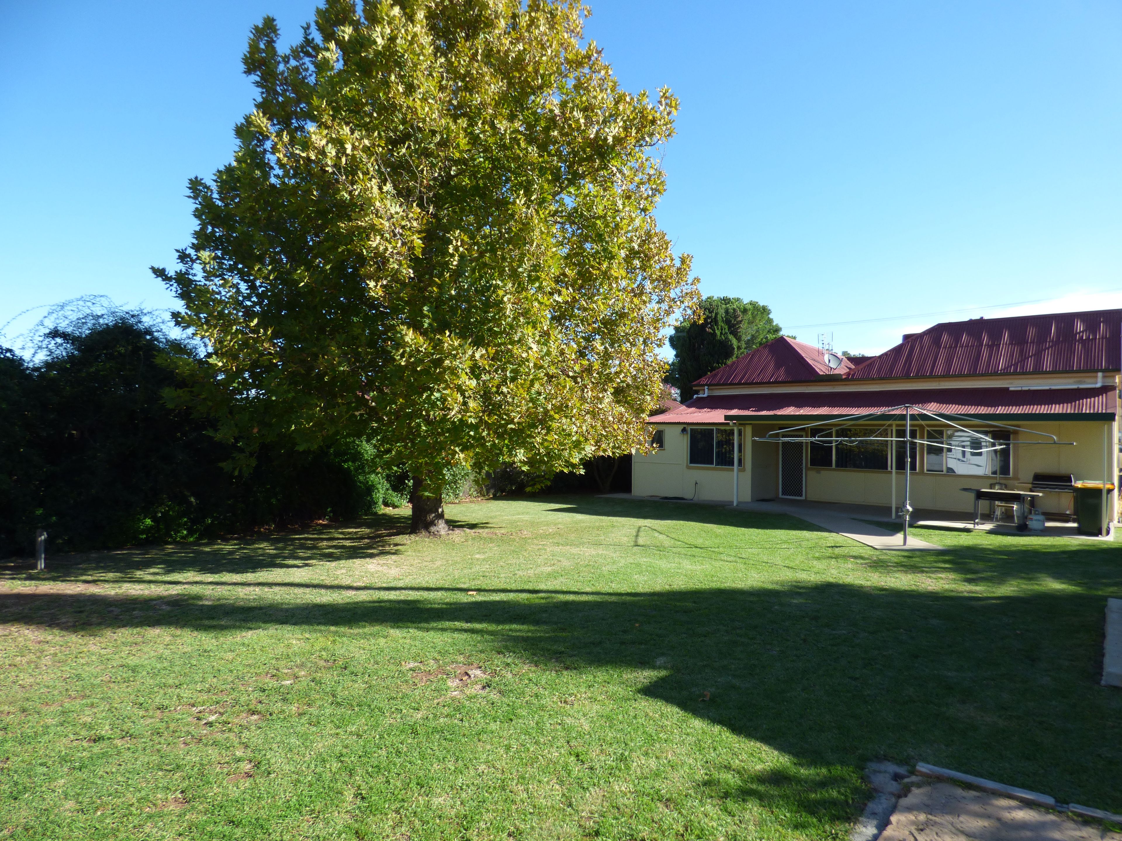 13 Battye Street, Forbes, NSW 2871