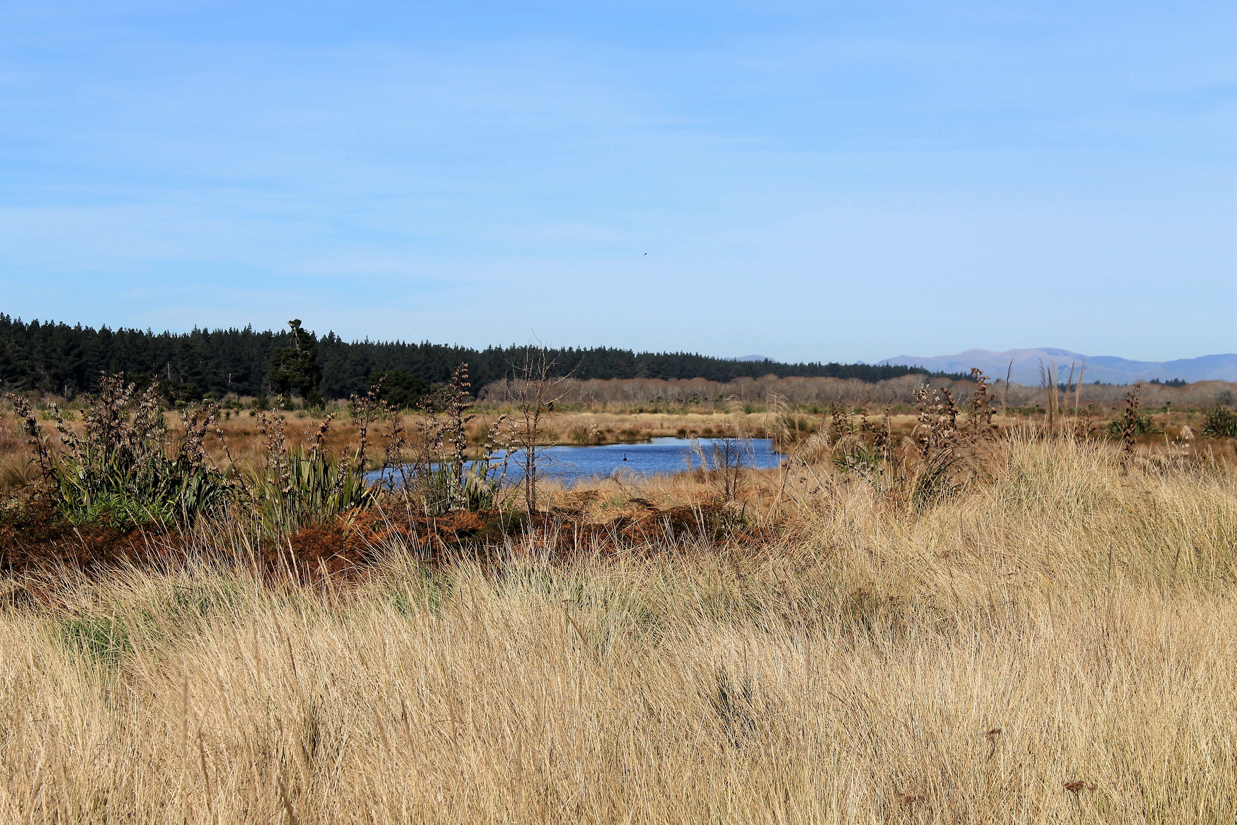 68 Te Kohanga Drive, Pegasus, Waimakariri District