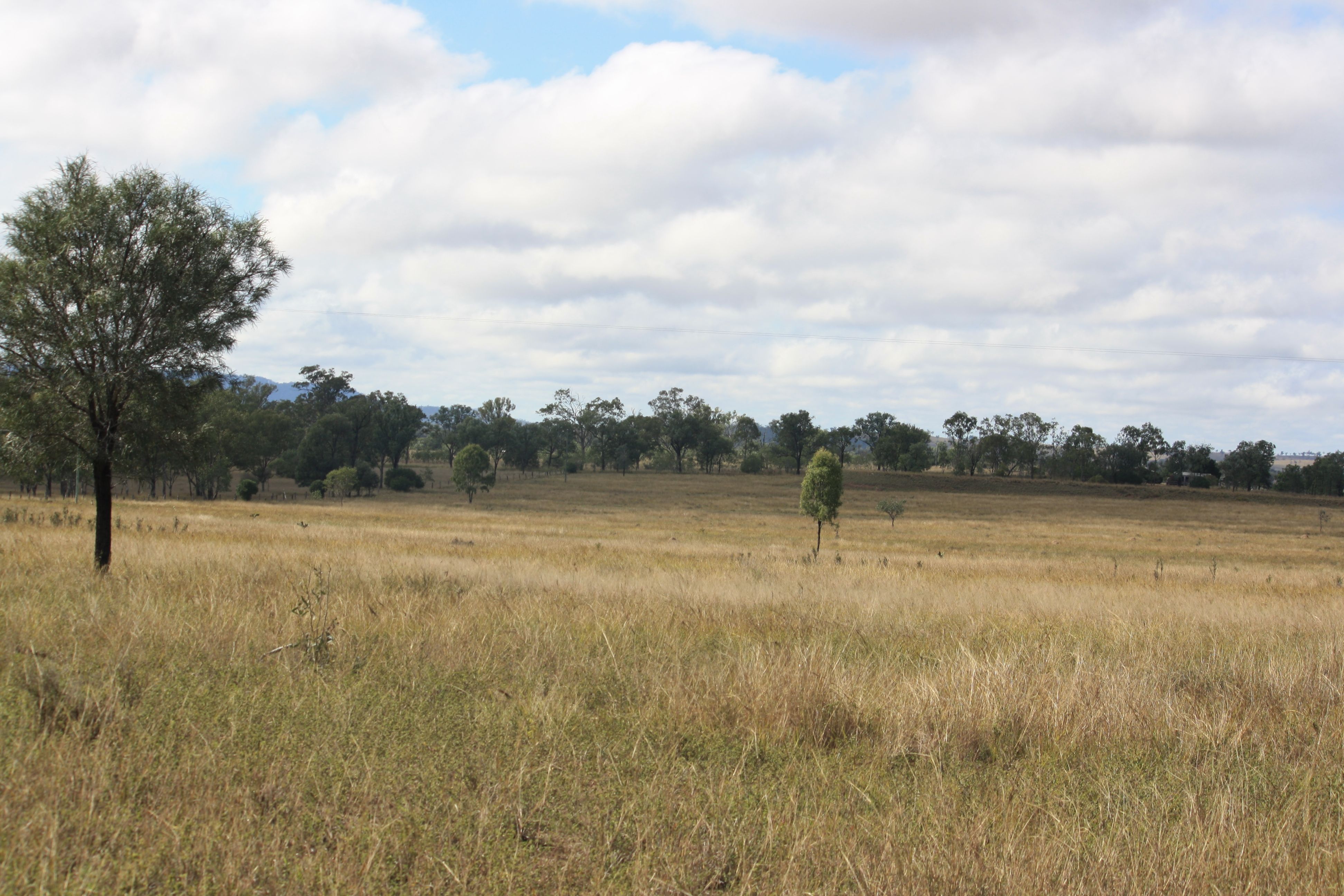 509 Mundubbera-Durong Road, Mundubbera, QLD 4626