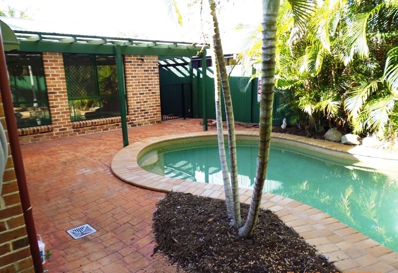 36 Satinwood Place, Mountain Creek, QLD 4557