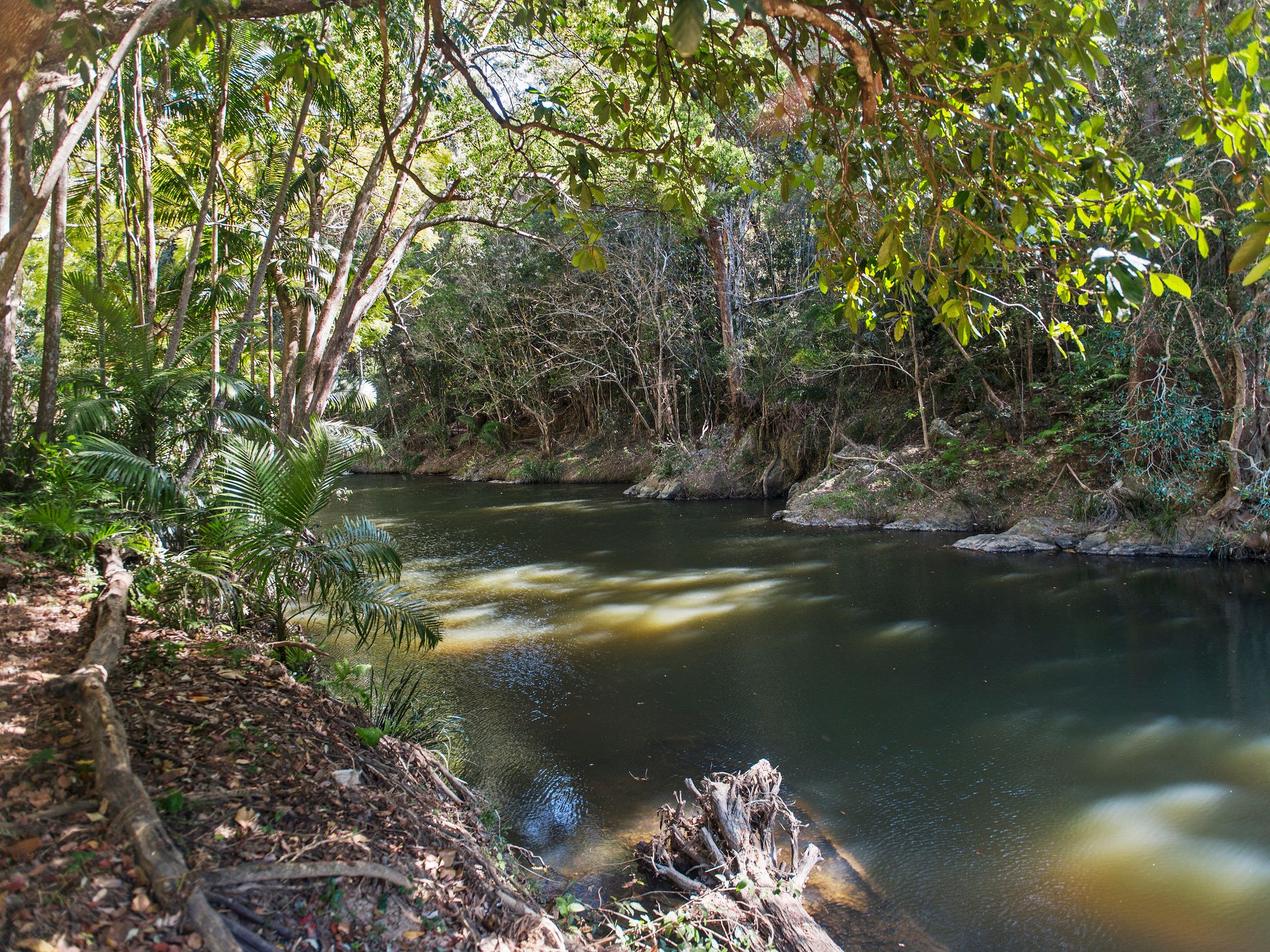 778 Currumbin Creek Road, Currumbin Valley QLD 4223