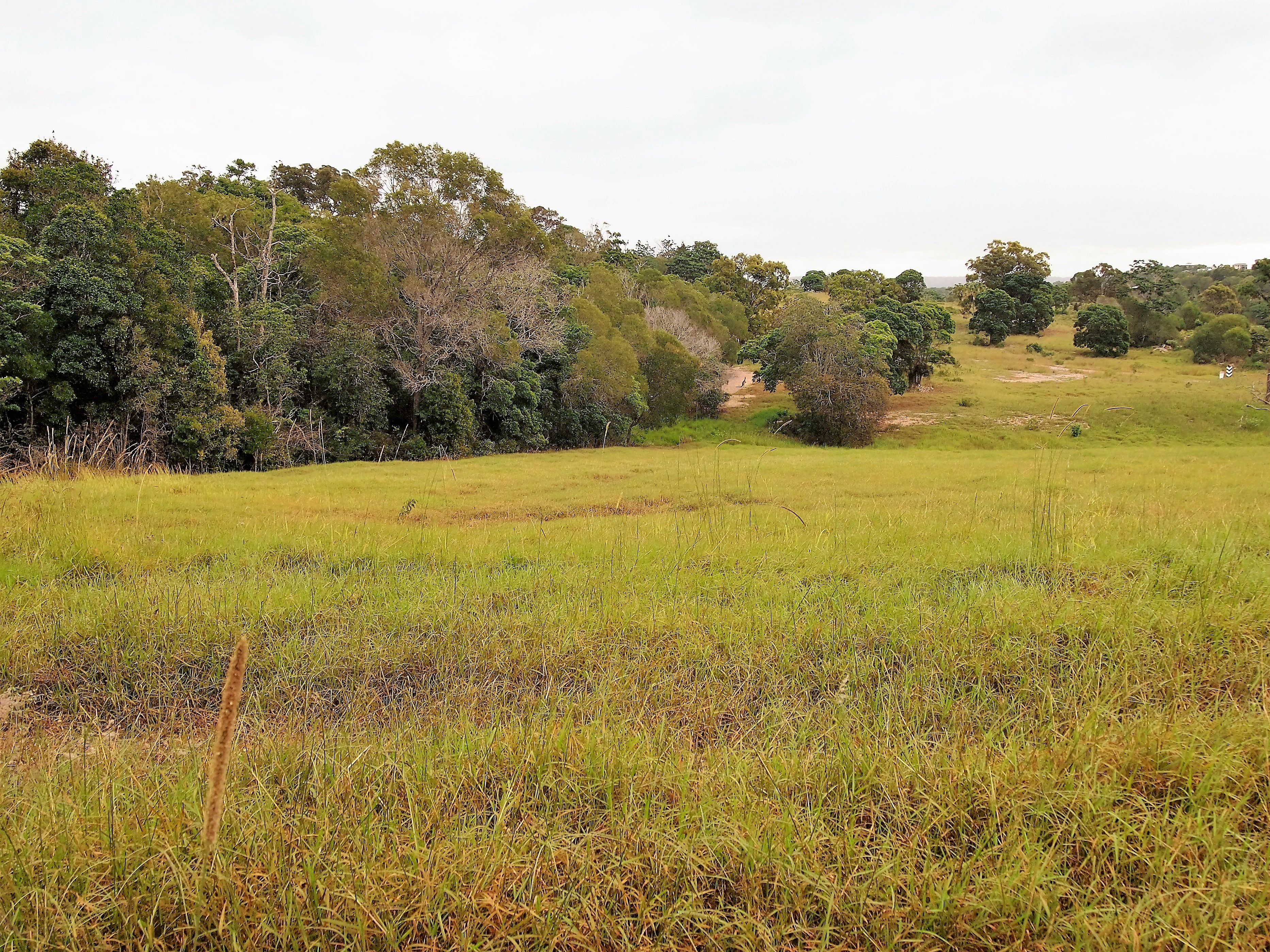 10 Woodgate Avenue, Craignish, QLD 4655