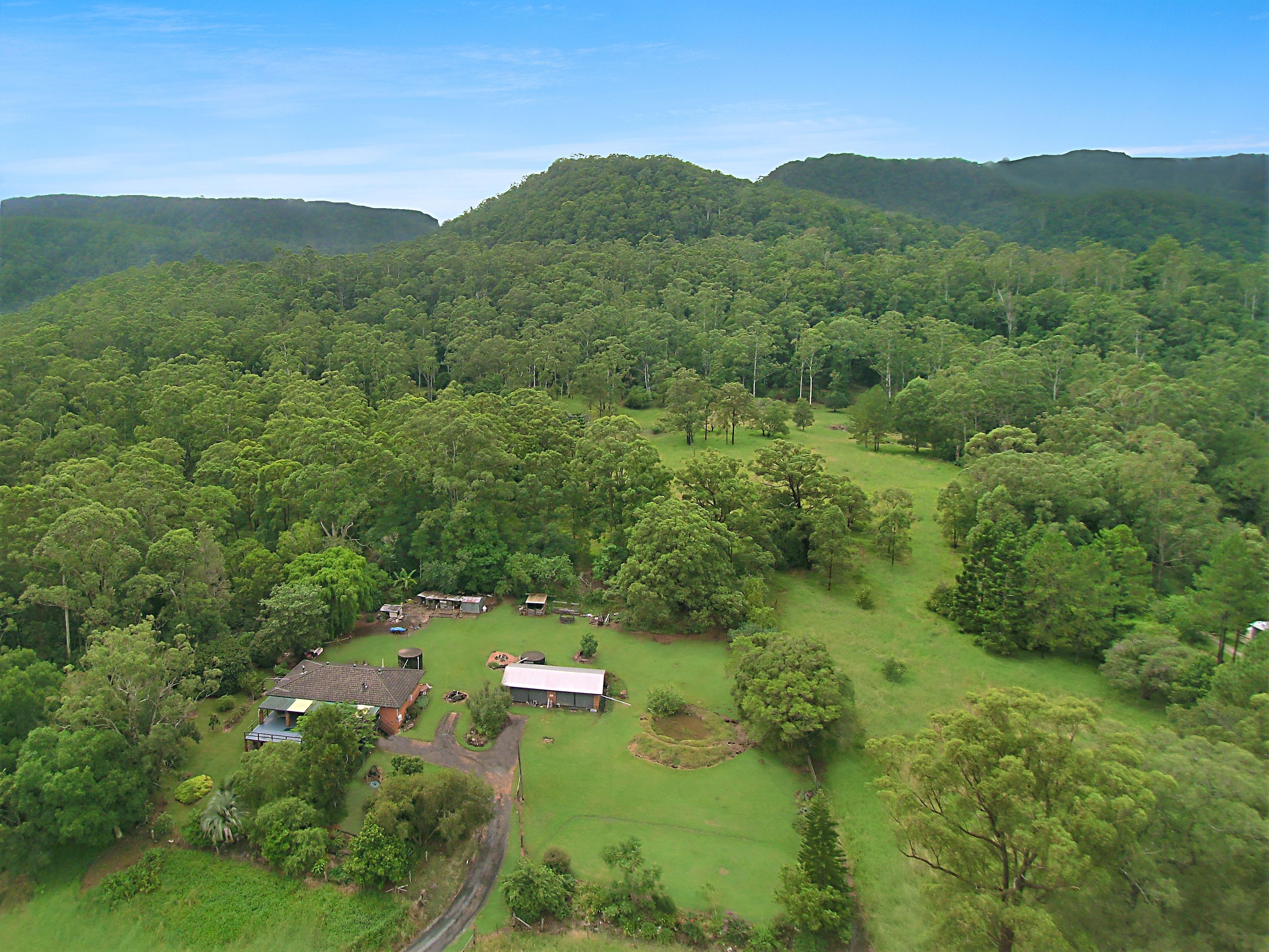 2943 Nerang-Murwillumbah Road, Natural Bridge QLD 4211
