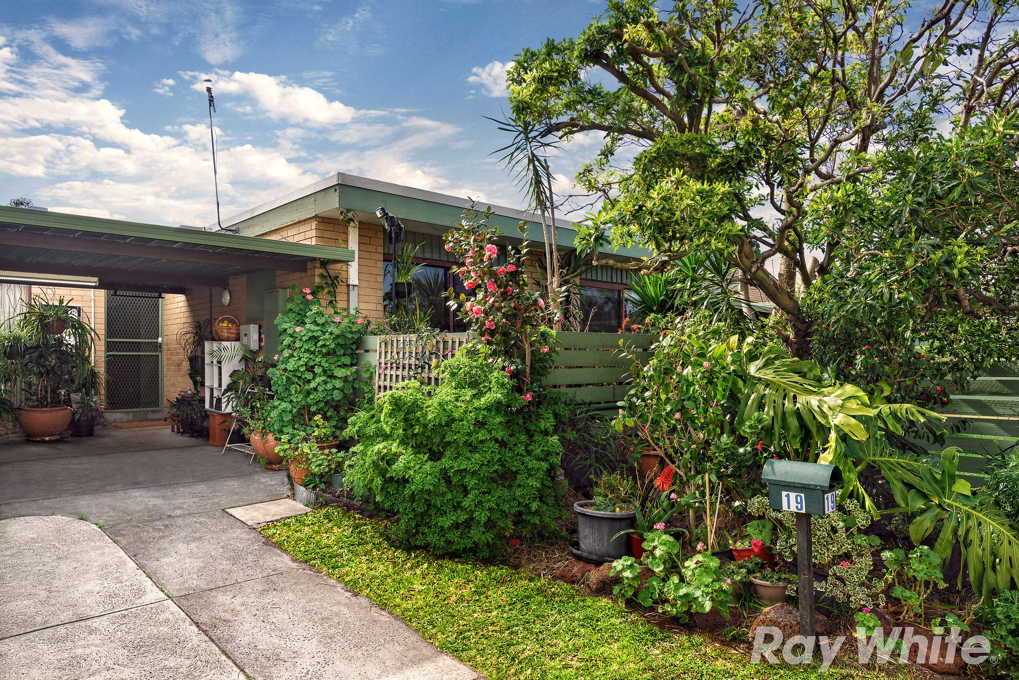 19/310 Warrigal Road, Cheltenham, VIC 3192