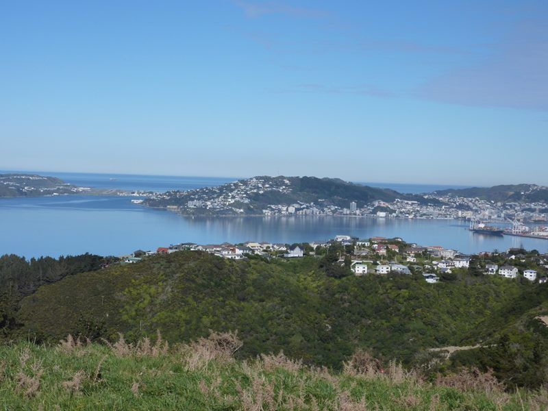 20 Piper Way, Newlands, Wellington
