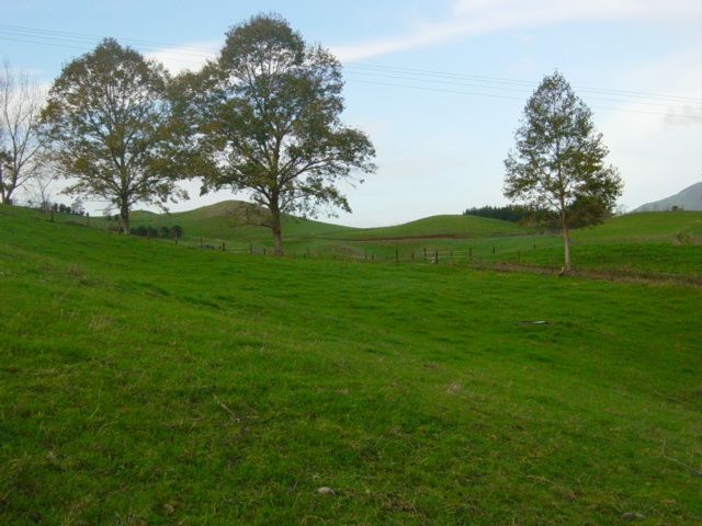 56 Mangati Road, Pirongia, Waipa District