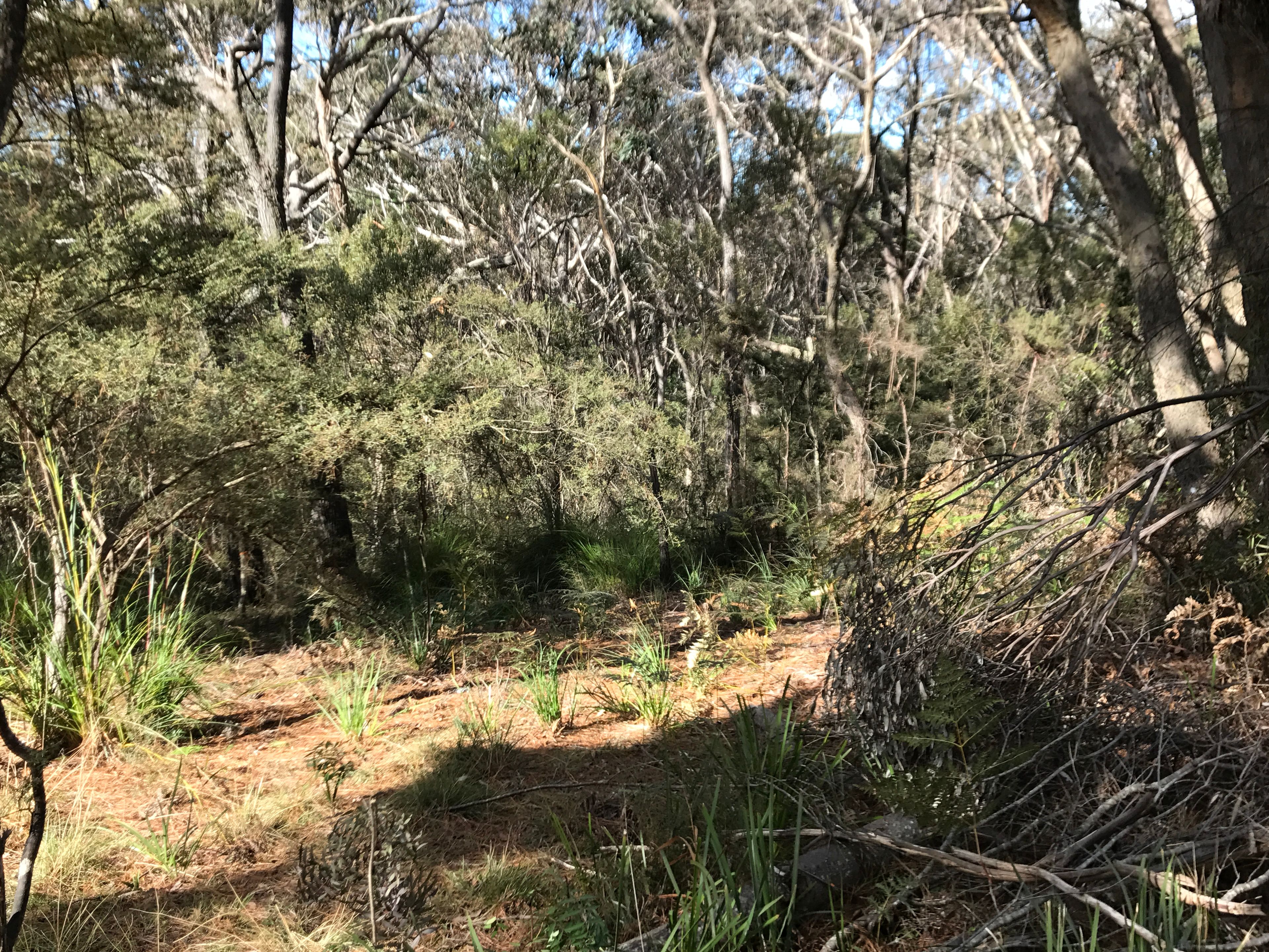 78 Railway Parade, Medlow Bath, NSW 2780