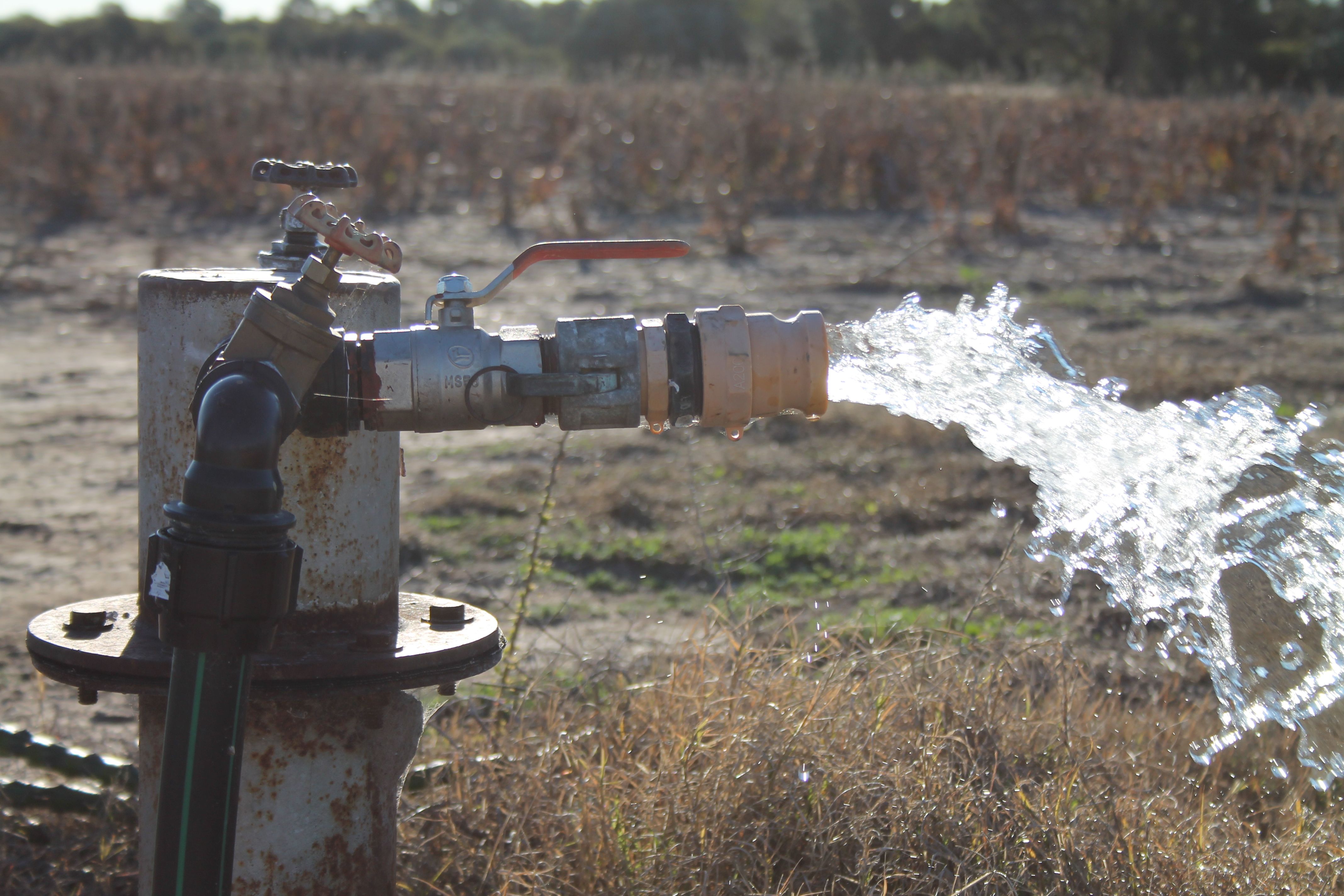 Goondiwindi Properties News Ray White Rural Queensland