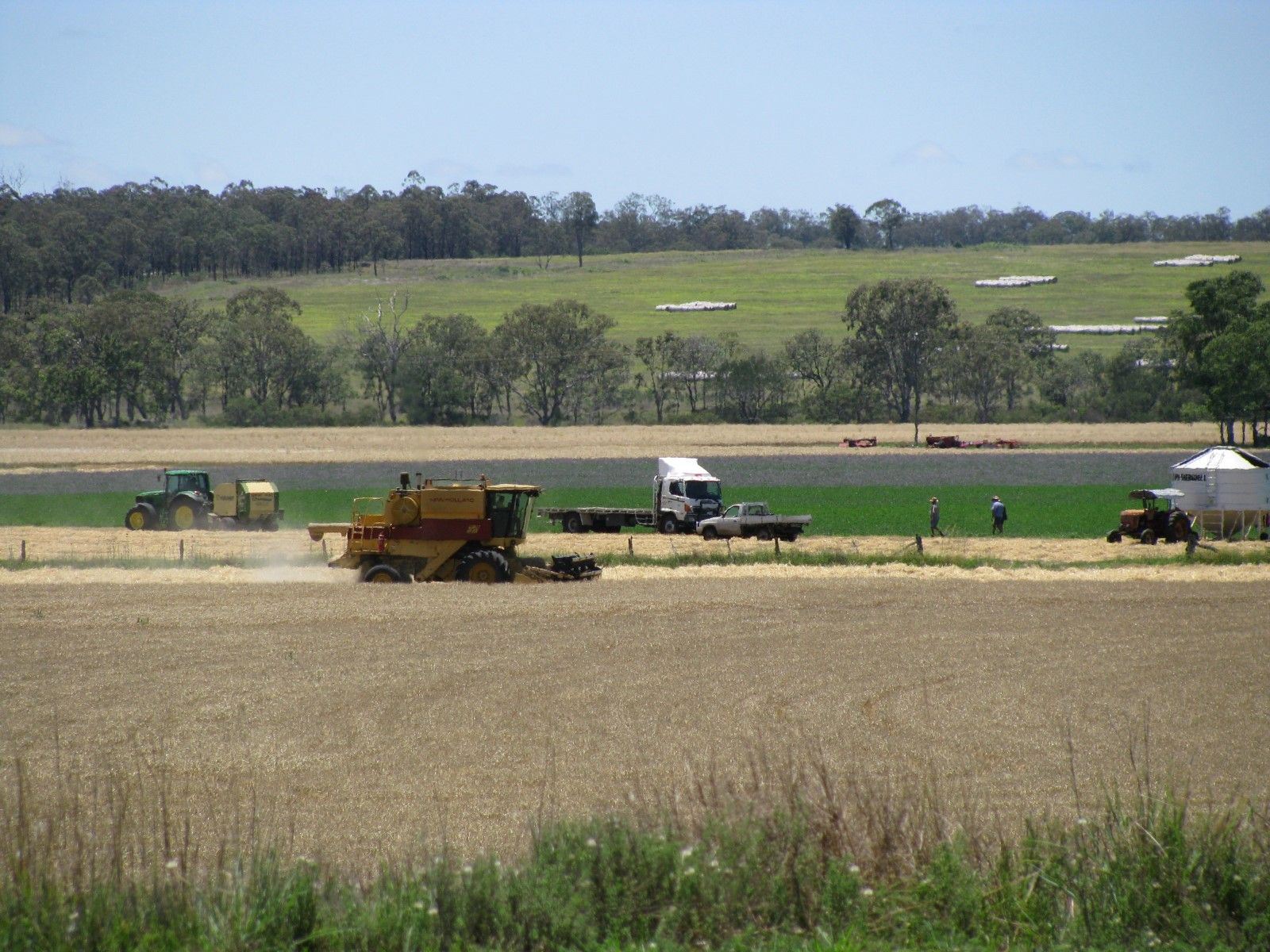 Ray White Rural Toowoomba