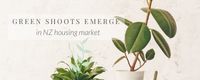 Green shoots emerge in New Zealand housing market - News - Ray White