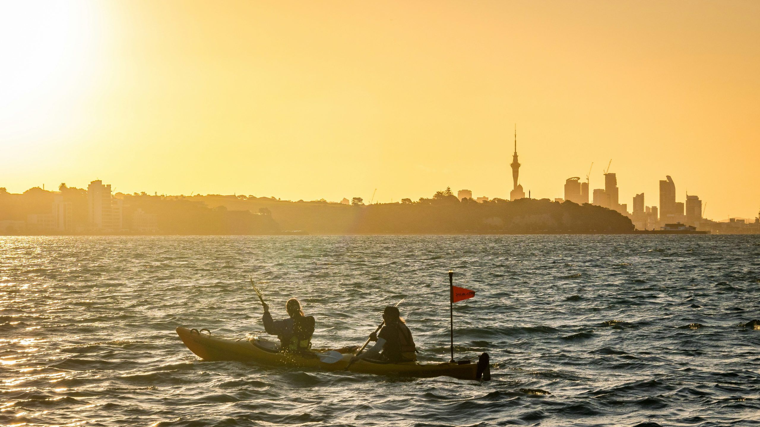 Auckland Apartment Report September 2024 News Auckland Apartments